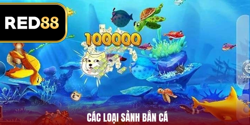 Các loại sảnh bắn cá tại nền tảng 